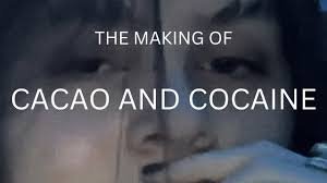 Where To Get Cocaine in Sofia